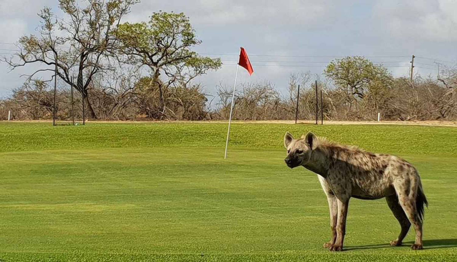 Skukuza Golf Club in Kruger National Park